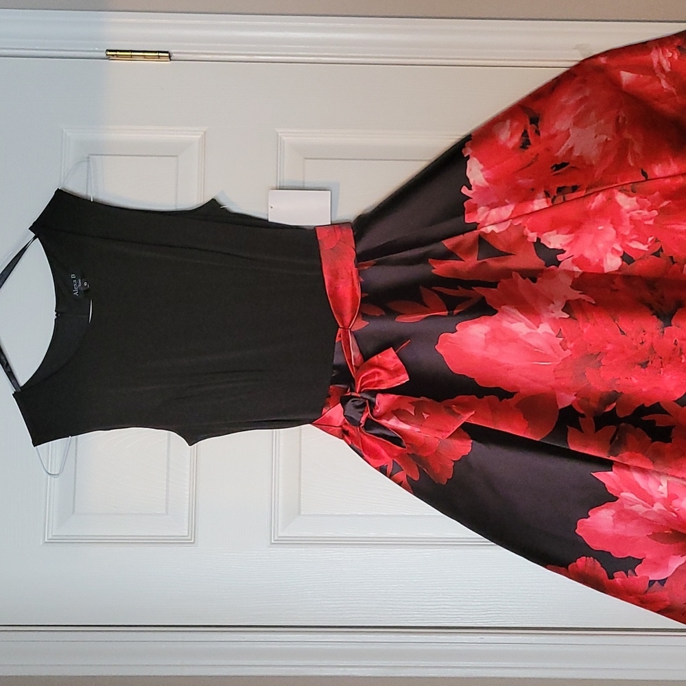 Alexa B Nites Long Dress  sz 10